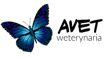 Avet